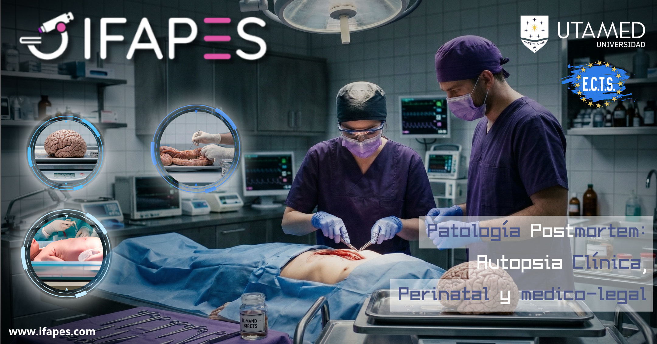IFAPES_C_114_Banner_Gr_WEB